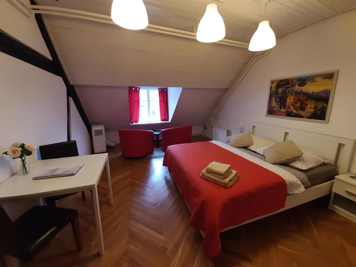 Viksi Hostel Ljubljana Extérieur photo